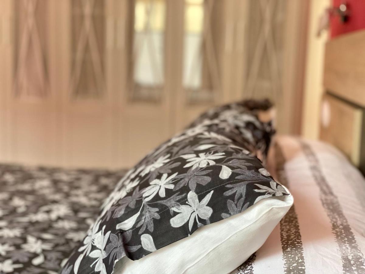 Housingleon- Barrio Humedo Apartment Ngoại thất bức ảnh